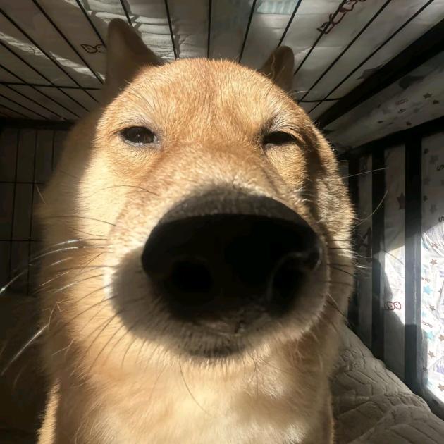 哥布林大王