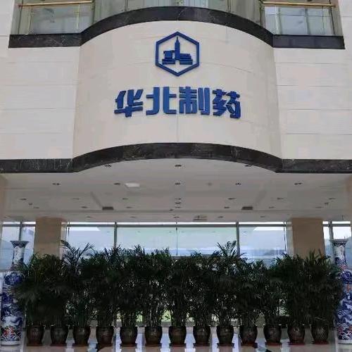 成人高考学历提升