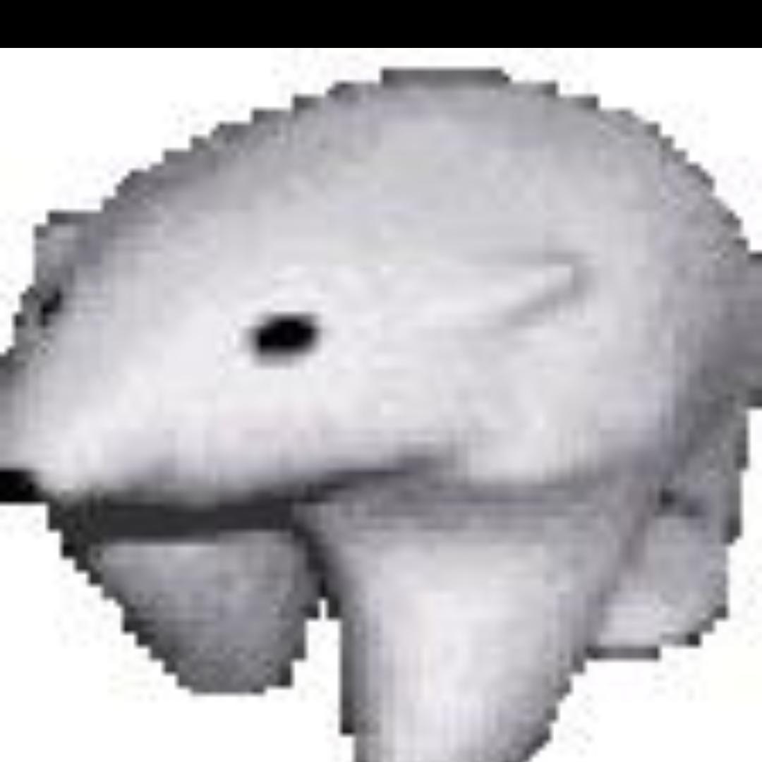 支持华为的生活哥