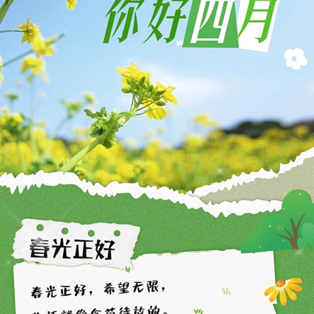 用户1155247312213yf