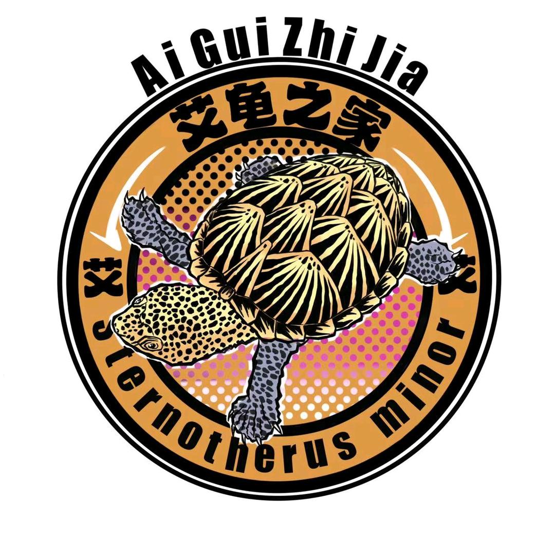 艾龟丶全国顺丰代发🐢🐟