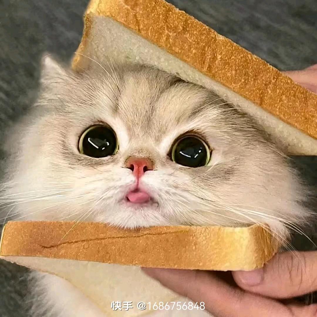 爱你😘