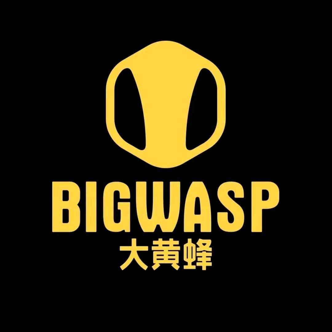 大黄蜂BIG WASP朗熙儿童专卖店