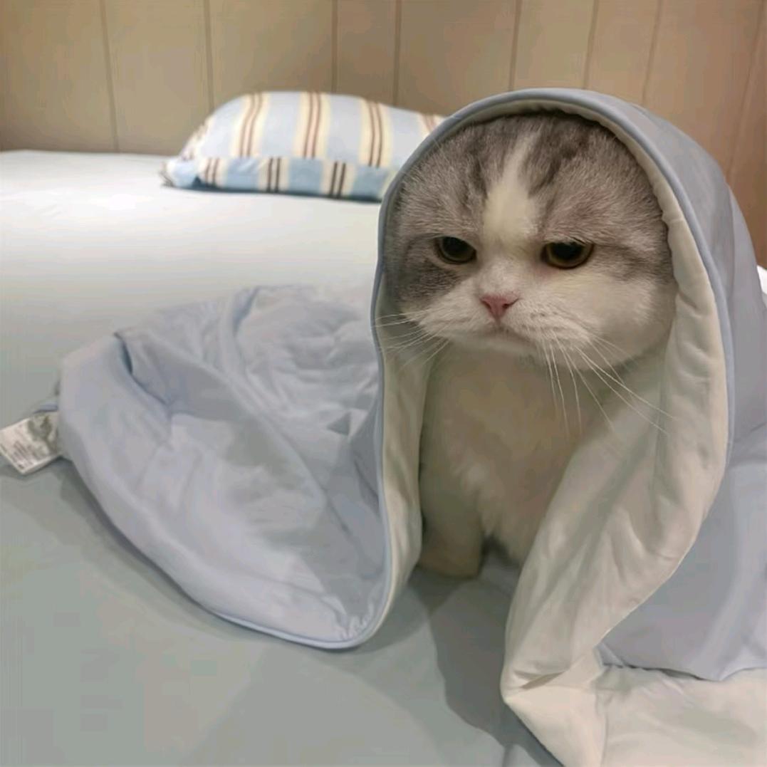 小离花