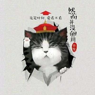 世间哪有那么多遗憾☺