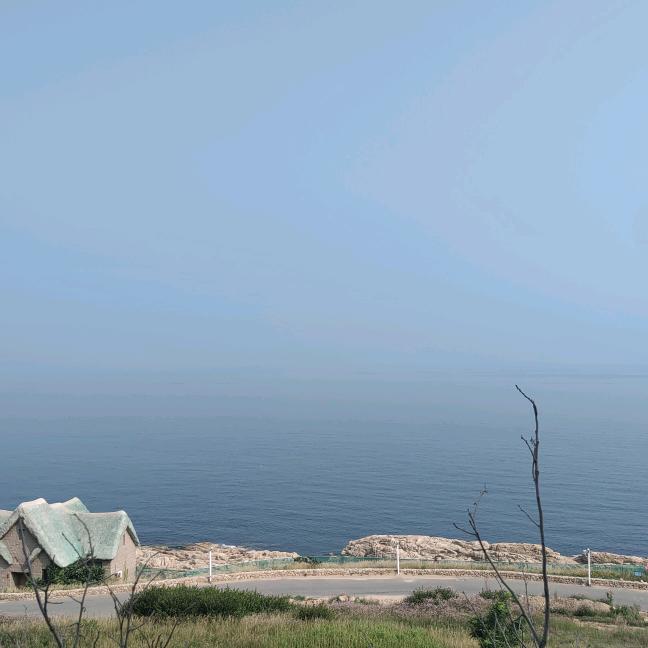 阳光下的一颗小草