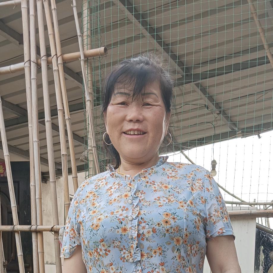 才艺主播小青菜