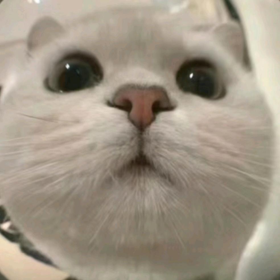 夂冬