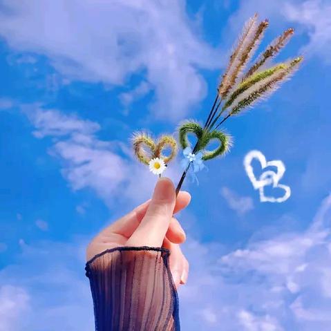 💕云端漫步💞