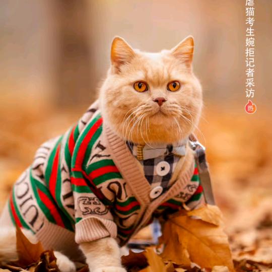 神的光环
