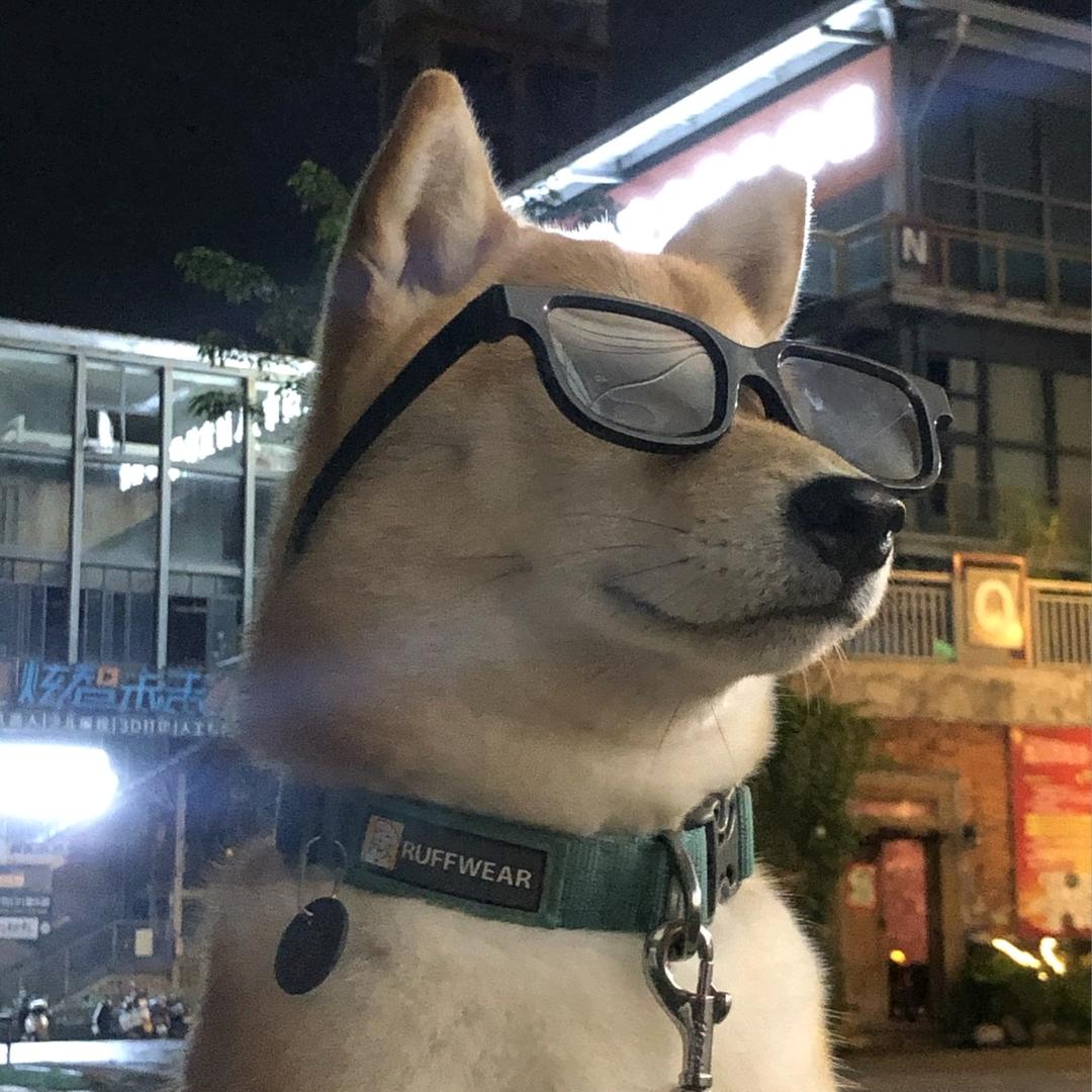 小九
