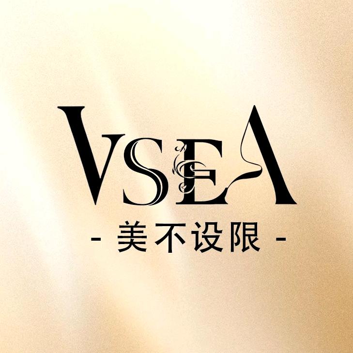 VSEA官方旗舰店