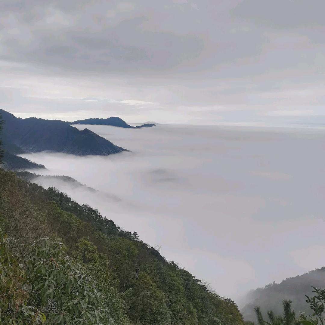 海港