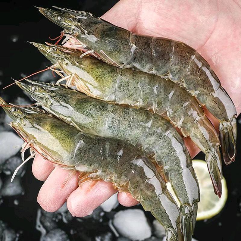 小怀淡水大活虾