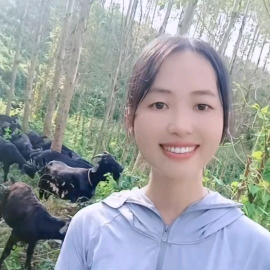 北流养羊阿燕