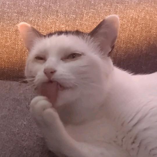 三弦小音