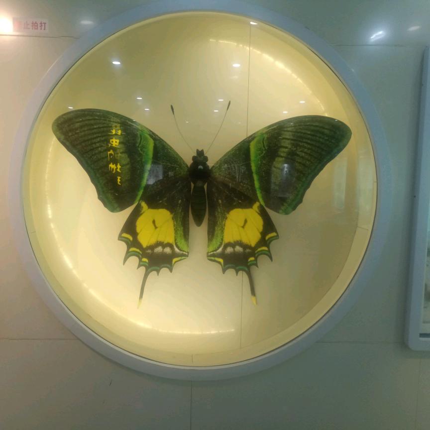 归源