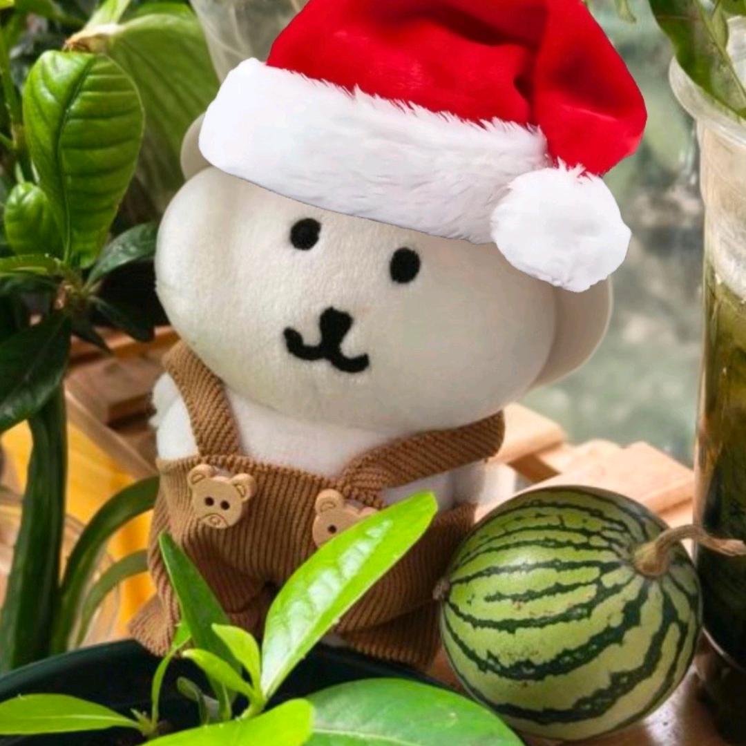 淳朴的农村熊66（真卖老鼠 可私信）