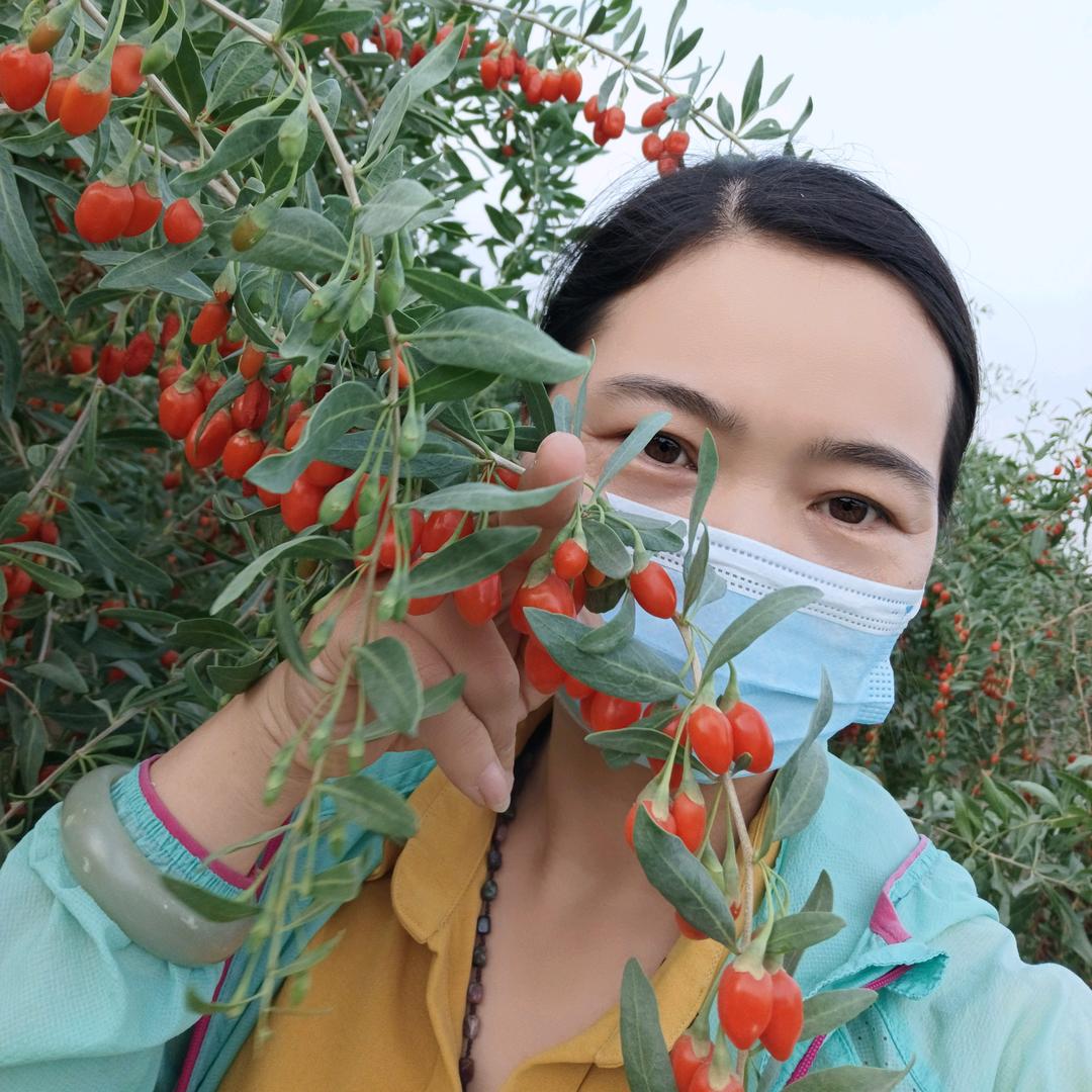 霞姐在新疆