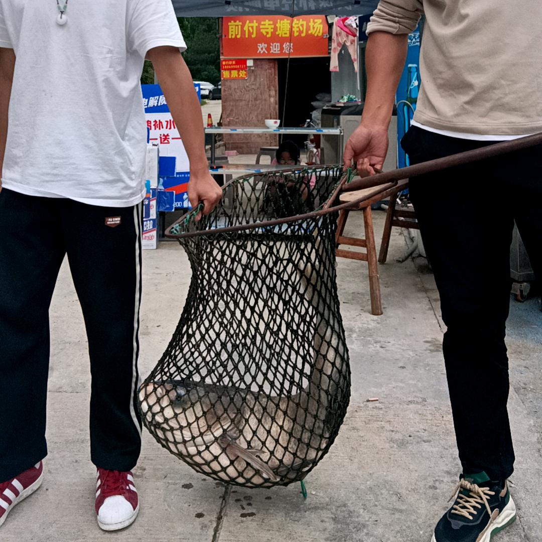 前付寺塘钓场