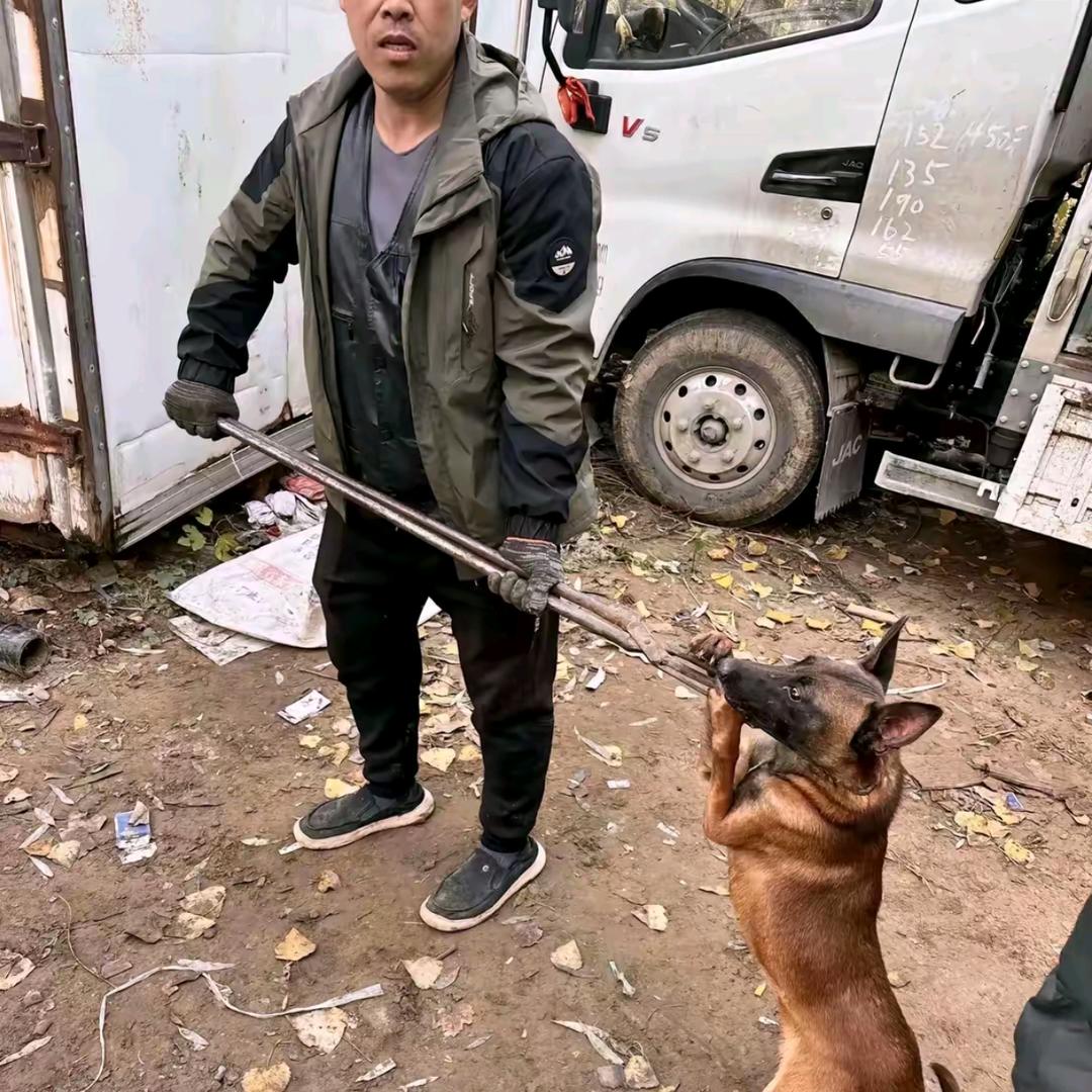 AAA专业套狗闫师傅（金牌套狗已认证）