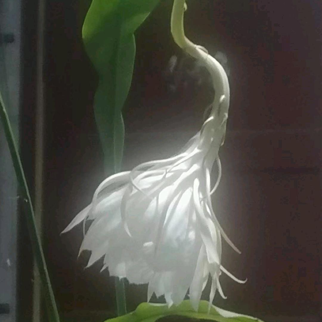 用户9247431526106重生