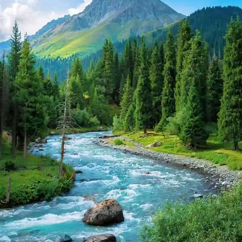 新瑞和生活超市(海唐·罗马花园店)山西觉念科技有限公司3