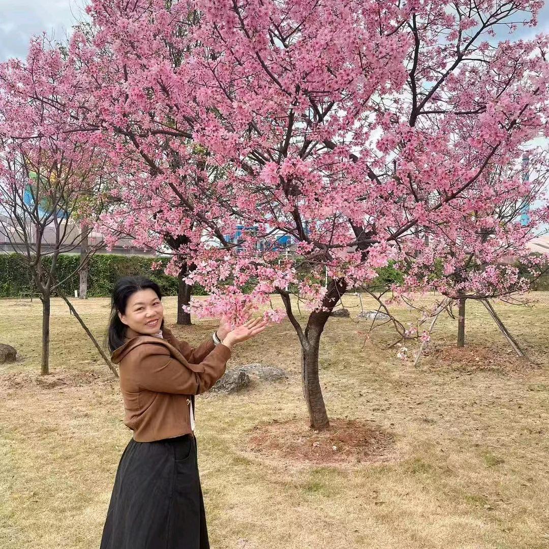 开心果果