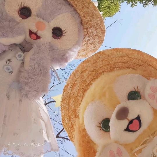 小@太阳