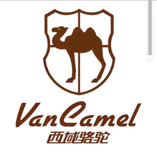 西域骆驼直播间