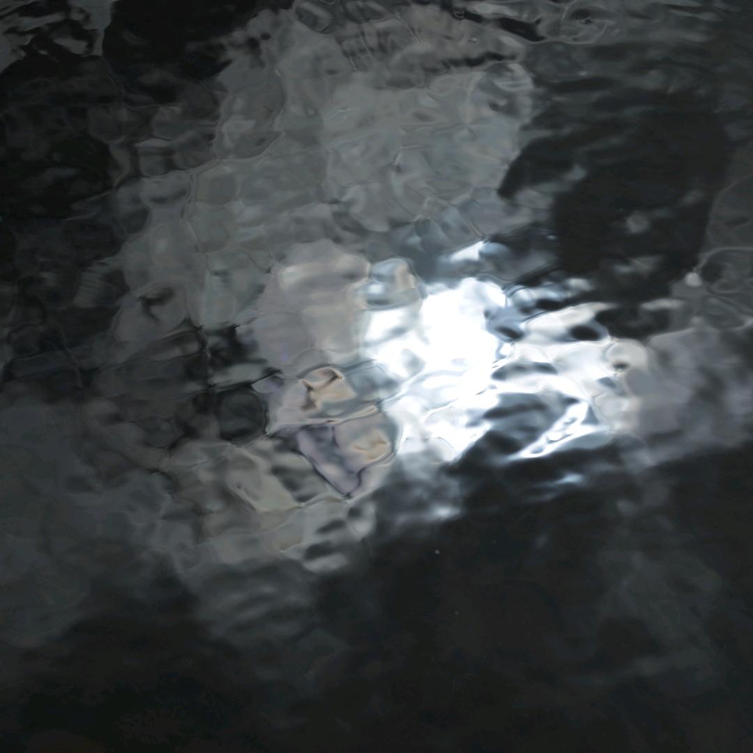 三毛