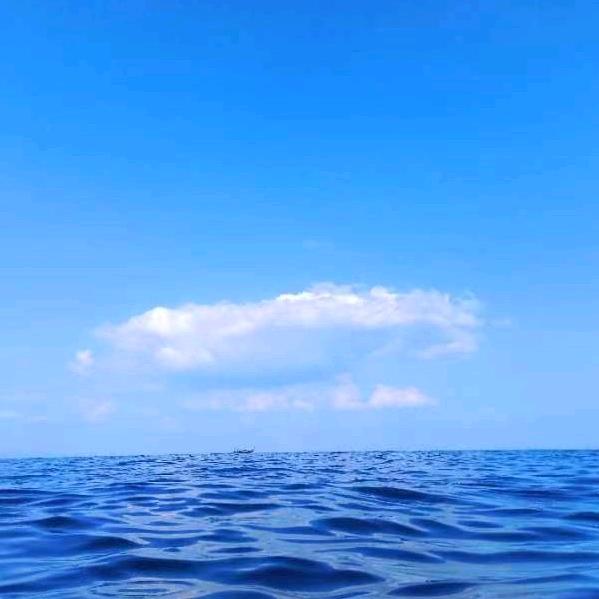 阿贵