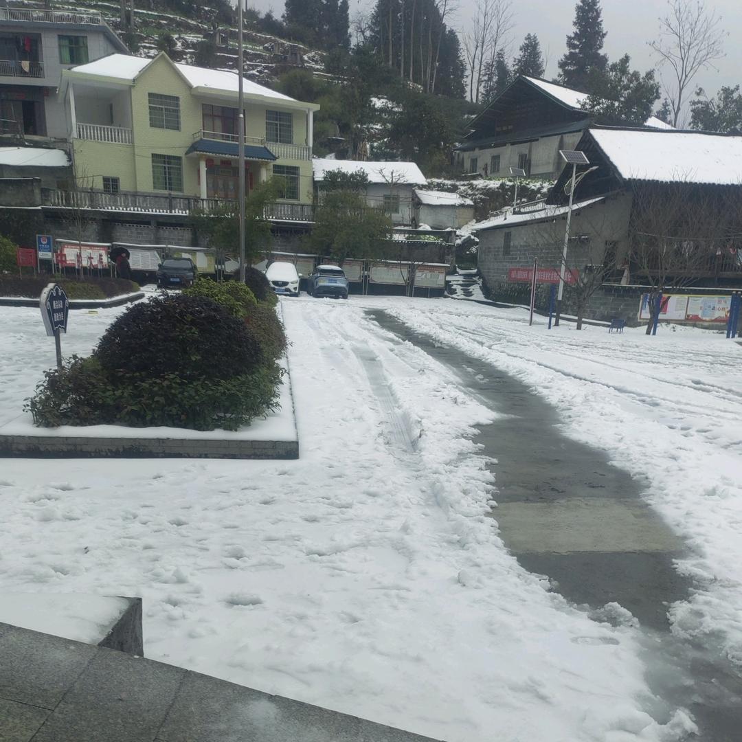 我又不是你的誰