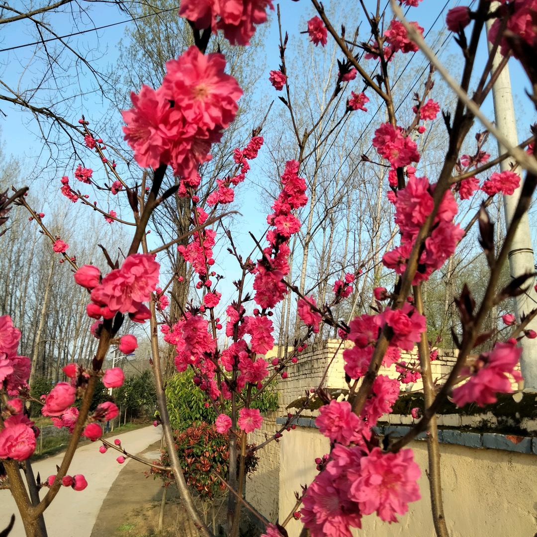 随缘