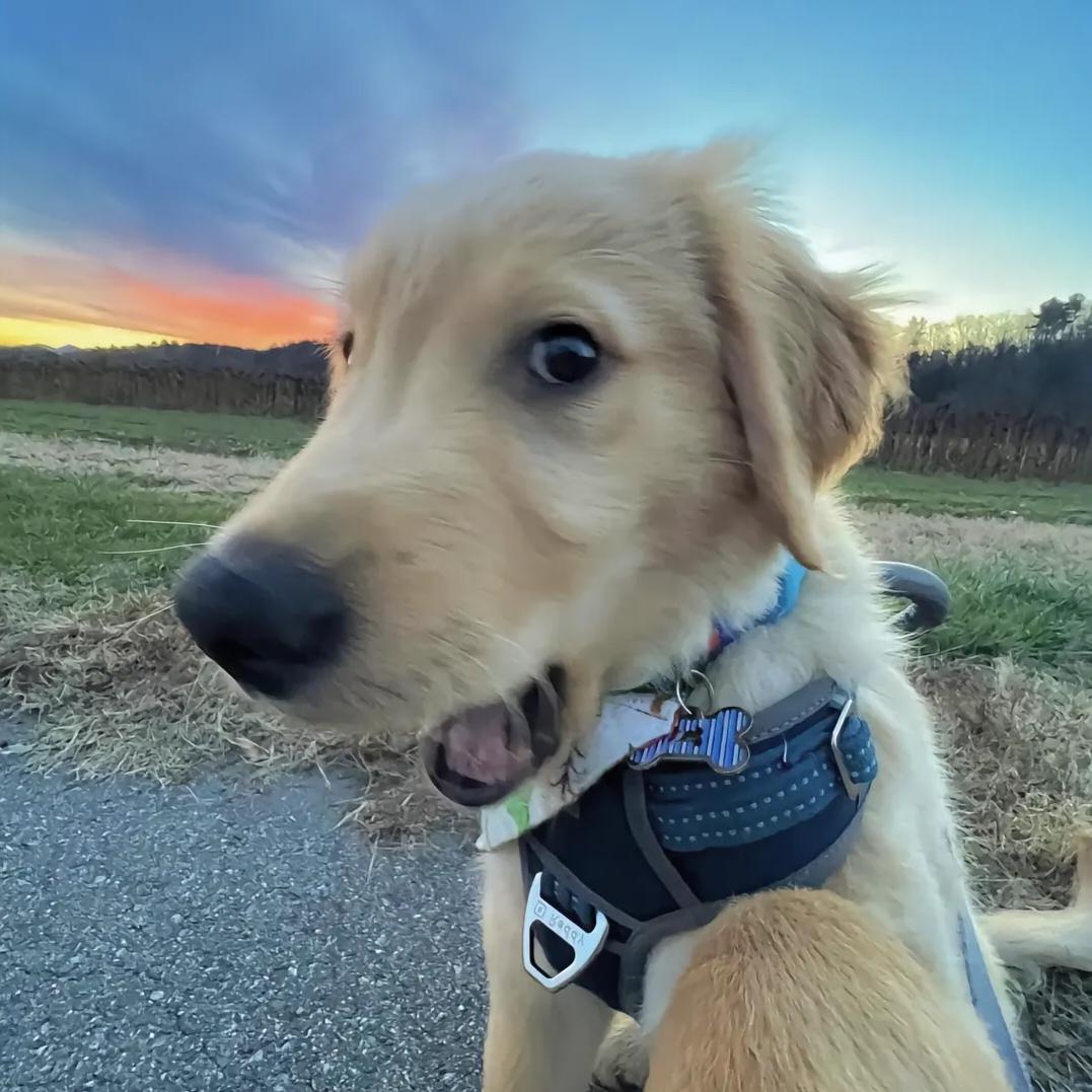 又是学习的一天