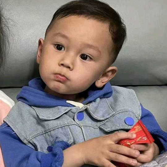 爱吃饭的凡宝