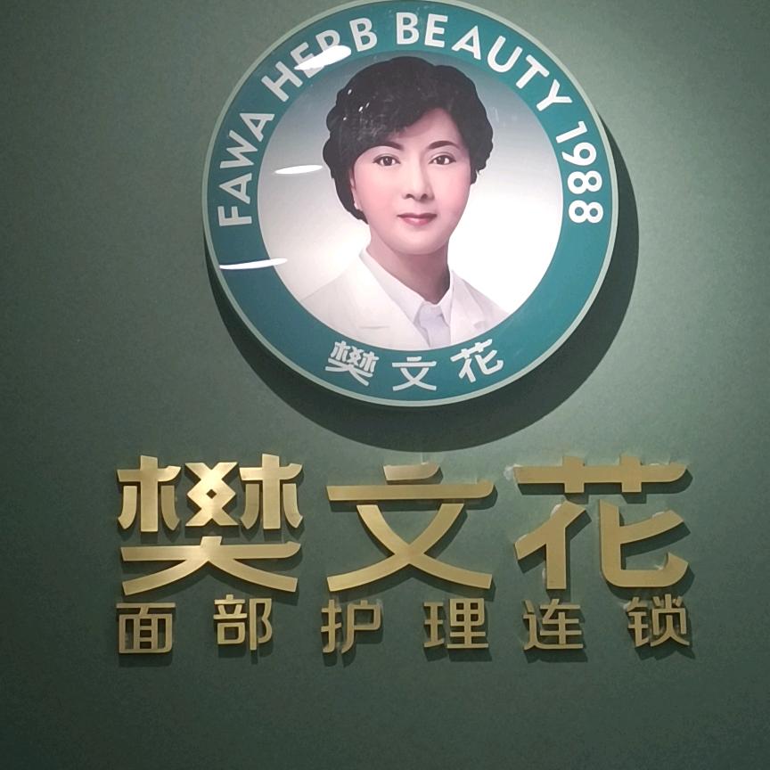 樊文花