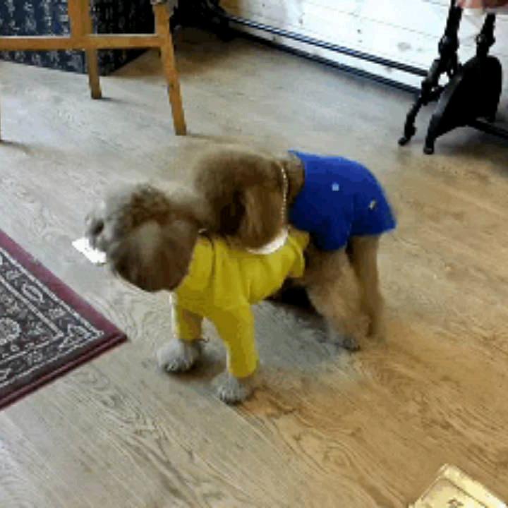 让我看一下你的良心