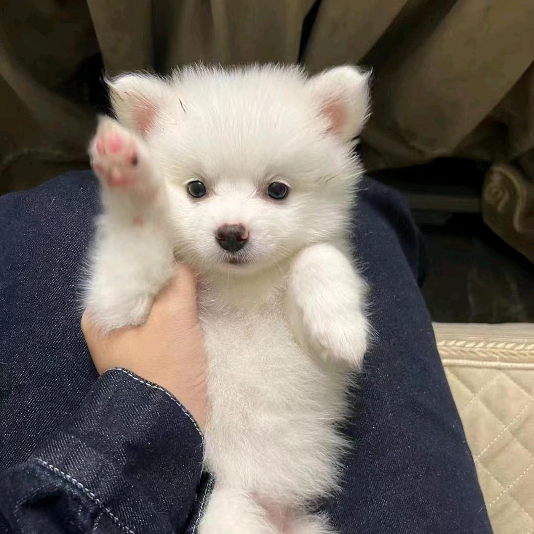 刘琦