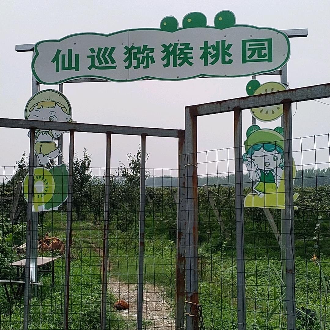 良心使人欢乐
