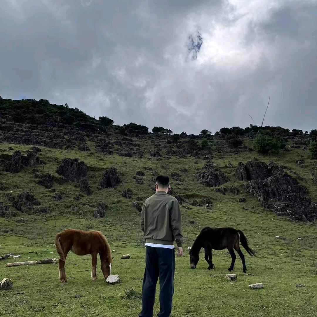 遗憾是她爱过你.