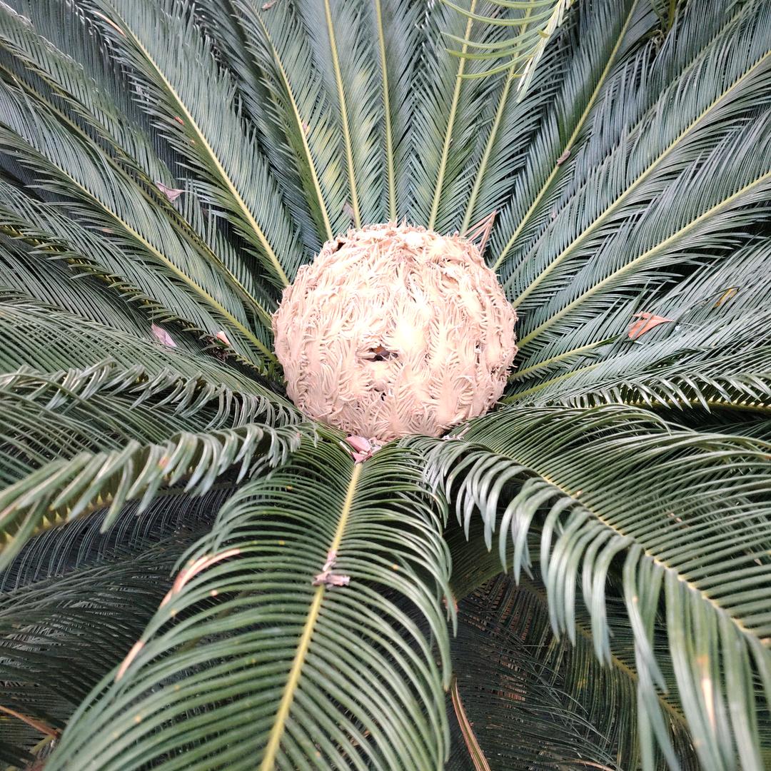 一生无悔