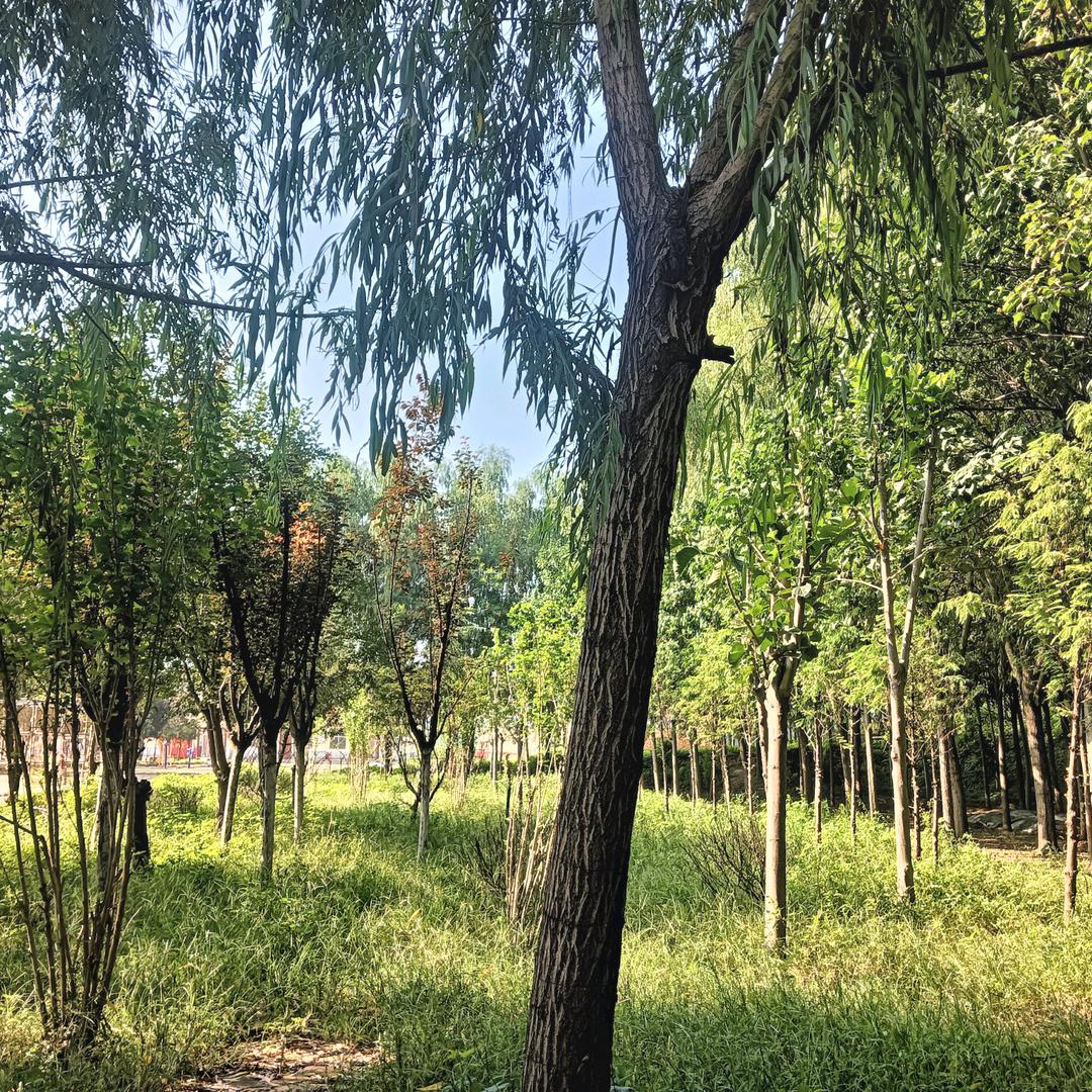 佛不度无缘之人