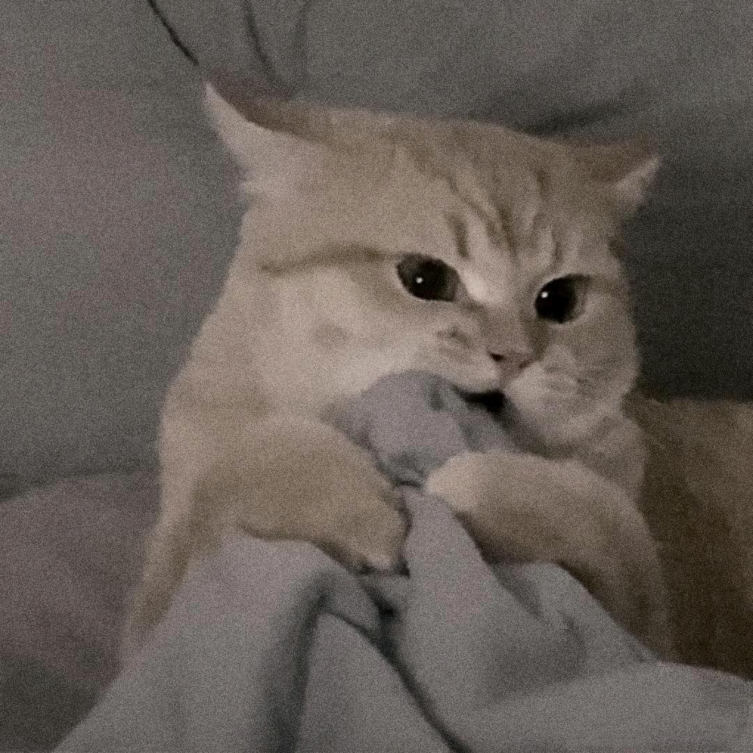 屬鬵