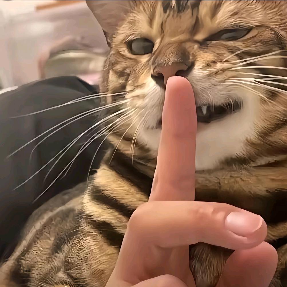 浪