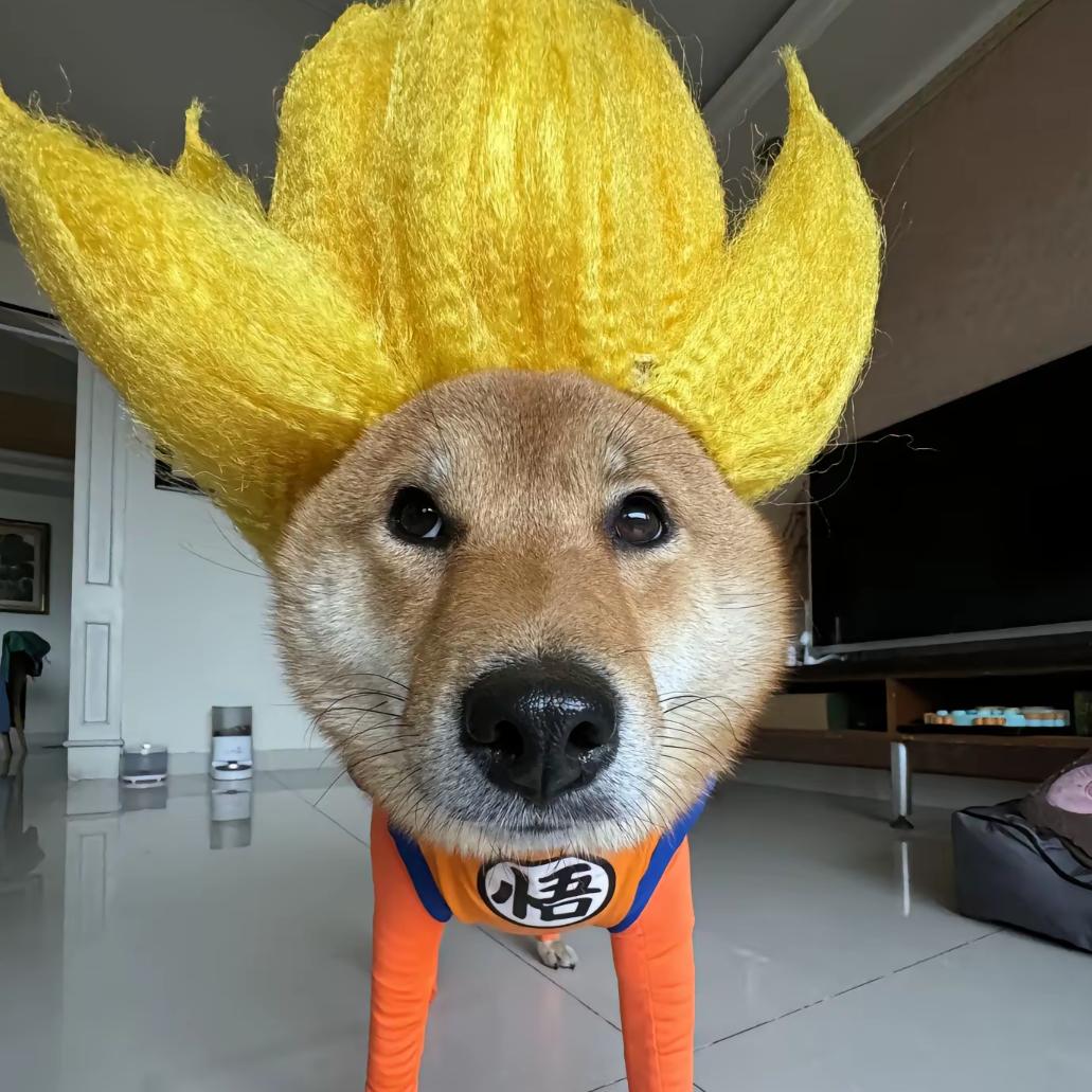 老沸谈游戏