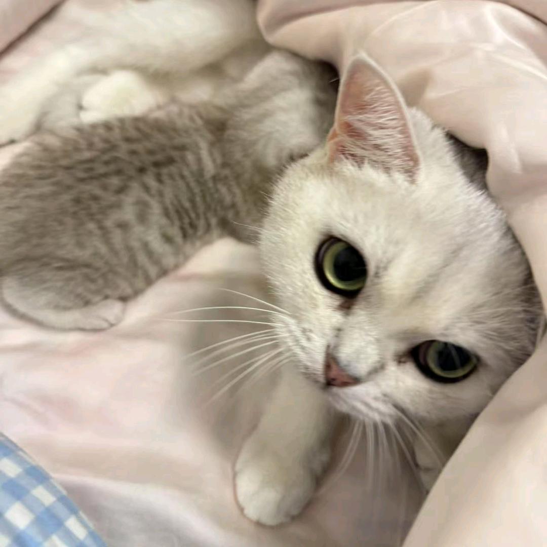 头晕脑胀腿抽筋