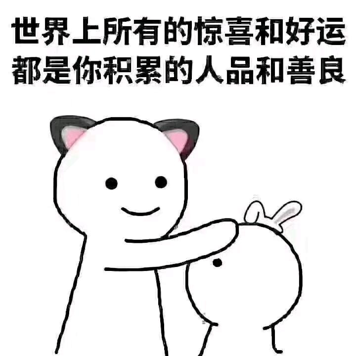 汽车专业贴膜  改装