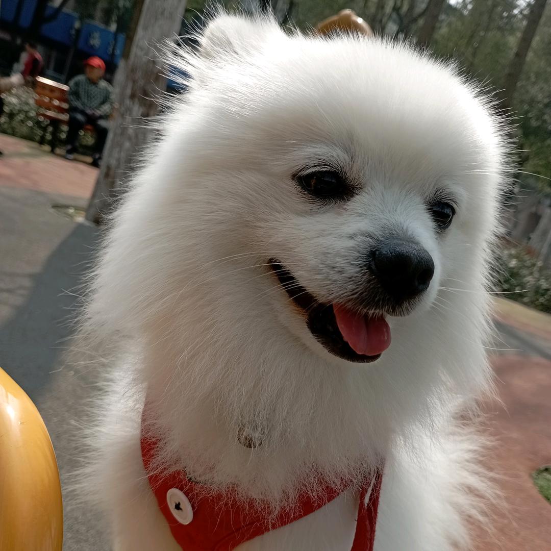 😁萌宝的天地