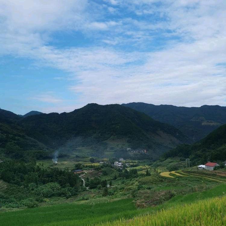 面对现实（德辉）